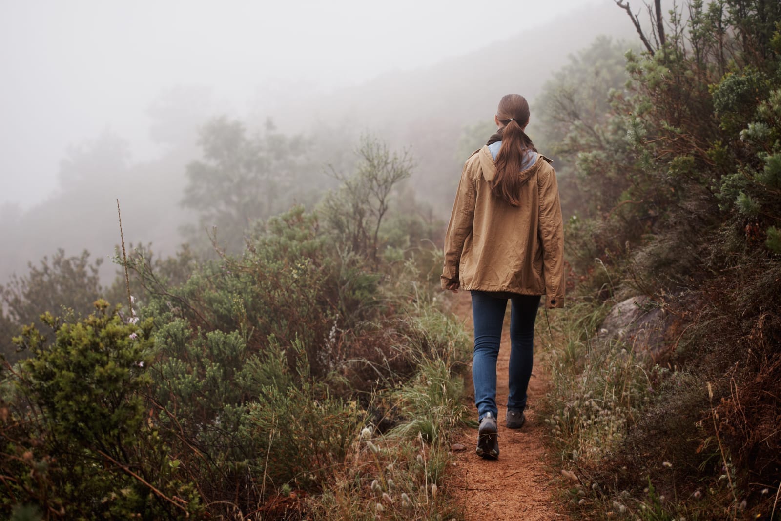 58002746_hiking-winter-or-fitness-woman-walking-in-nature-for-travel-wellness-or-morning-outdoor-path-trekking-or-back-of-female-person-in-forest-for-fresh-air-camping-or-adventure-journey-or-discovery.jpg